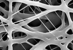 以使其在人体中的降解速率及其机械性能得以独立控制 中网时尚,stylechina.com