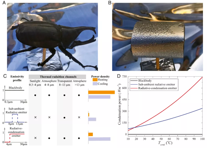 科学家向空气要饮用水！每平米不到100元，寿命长达10年，24小时不间断获取清洁的饮用水，甲虫也只能甘拜下风！ 中网时尚,stylechina.com