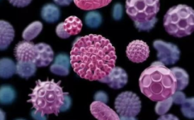 使用一种新的单细胞技术，研究人员发现了一种理解干细胞如何构成特定细胞类型的程序的方法 中网时尚,stylechina.com