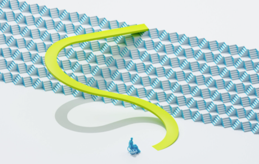 错误的数据使残疾人处于危险之中 中网时尚,stylechina.com