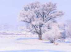 科学家发布了新的直接证据，证明细碎的雨滴破裂会引发爆炸性的“冰繁殖”事件 中网时尚,stylechina.com