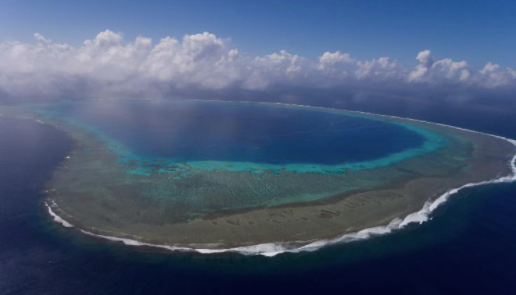 蓝色自然联盟的目标是在五年内恢复700万平方英里的海洋 中网时尚,stylechina.com