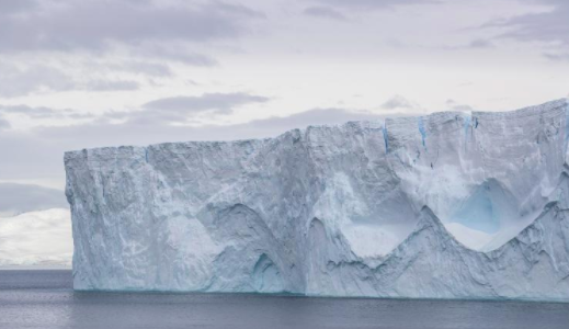 蓝色自然联盟的目标是在五年内恢复700万平方英里的海洋 中网时尚,stylechina.com