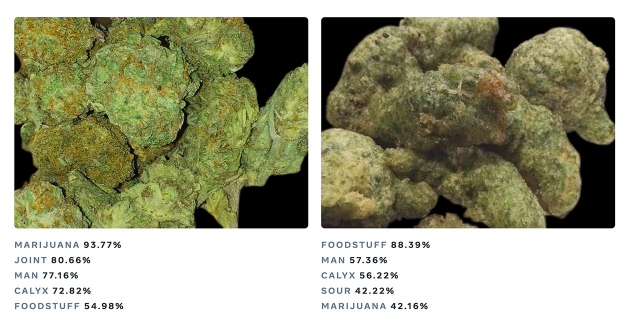 Facebook的CTO面对不良内容而战，而AI是他的最佳武器 中网时尚,stylechina.com