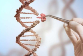 该技术可以随着时间的流逝对连续切割进行编程或编辑 中网时尚,stylechina.com