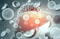 人类女性腮腺唾液蛋白丰度的特定年龄差异的定量分析 中网时尚,stylechina.com