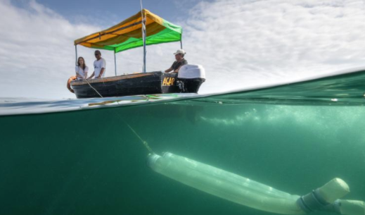 “海洋是我们的生命维持系统”：Kerstin Forsberg谈为什么我们必须保护我们的海洋 中网时尚,stylechina.com