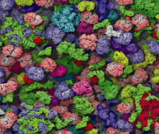 乘坐飞机的人像罐头中的沙丁鱼一样挤在一起时会表现出一种感觉 中网时尚,stylechina.com