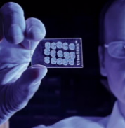 LIPID MAPS的目标包括识别和测量细胞内脂质的完整补体 中网时尚,stylechina.com