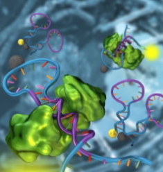 用于定量检测DNA结合活性的转录因子信标 中网时尚,stylechina.com