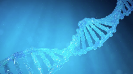 尖端技术:美国基因与细胞治疗学会的亮点 中网时尚,stylechina.com