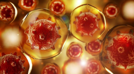 新的细胞疗法显示出治疗艾滋病的希望 中网时尚,stylechina.com