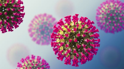 解码COVID-19变体的趋势：疫苗和关注区域 中网时尚,stylechina.com