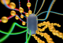 揭开生物/纳米界面之谜的距离仅一步之遥，蛋白质编排器，活细胞和功能性生物材料的无限舞蹈 中网时尚,stylechina.com