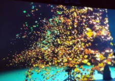 该植入物可与配备摄像头的智能眼镜和微型计算机一起使用 中网时尚,stylechina.com