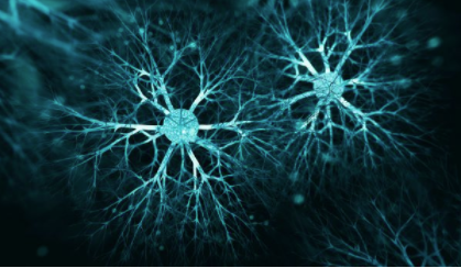 研究综述：阿尔茨海默氏症及其他神经细胞死亡 中网时尚,stylechina.com