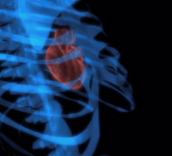 用于X射线计算机断层扫描成像和双峰图像引导的前哨淋巴结定位的生物惰性氧化钽纳米粒子的大规模合成 中网时尚,stylechina.com