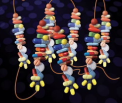 快速发展的生物传感器 中网时尚,stylechina.com