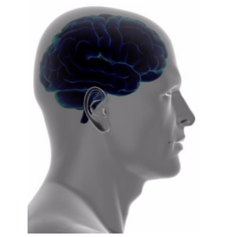 2-氨基噻唑类药物作为治疗Pri病毒疾病的先导 中网时尚,stylechina.com