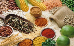 下一年度俄罗斯谷物出口有望增长300万吨，截至5月19日阿根廷玉米收获完成27.6% 中网时尚,stylechina.com