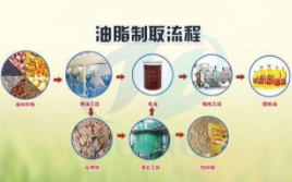 宏观系统性调整 油脂挤掉水分后有望再次回归供需，油脂连续大幅回落 棕榈油基差再度破千 中网时尚,stylechina.com