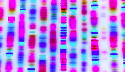 研究综述：完整的人类基因组测序等 中网时尚,stylechina.com