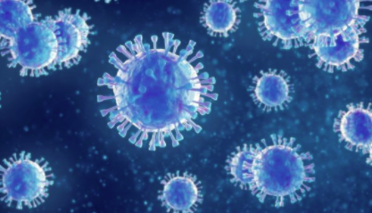 现在在人类中的 H10N3 禽流感病毒株会成为下一个流行病吗？ 中网时尚,stylechina.com