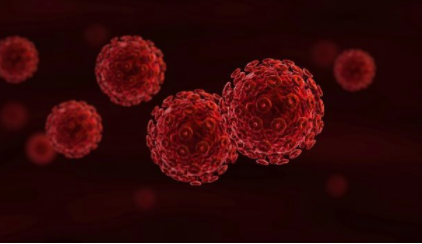 Exavir 的长效抗逆转录病毒药物在动物模型中显示出对 HIV 的前景 中网时尚,stylechina.com