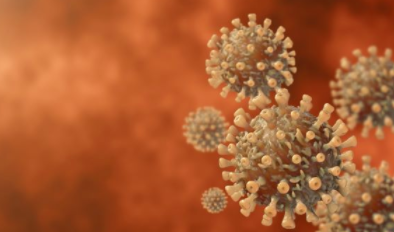 研究确定了 COVID-19 长途汽车认知障碍的潜在机制 中网时尚,stylechina.com