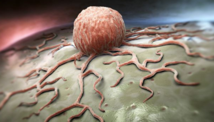 Innate Pharma 的 ANKET NK Engager 平台安全有效地根除肿瘤 中网时尚,stylechina.com