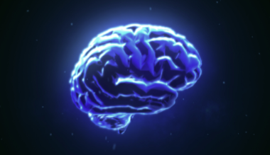 GSK 和 Alector 合作开发免疫神经学治疗 中网时尚,stylechina.com