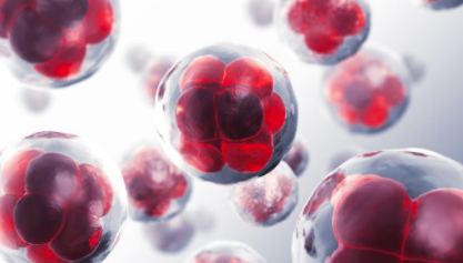 研究综述：一种阻止癌症转移等的蛋白质 中网时尚,stylechina.com