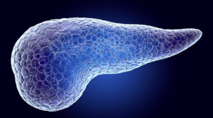 胰腺癌新药临床前数据显示疗效超过 90% 中网时尚,stylechina.com