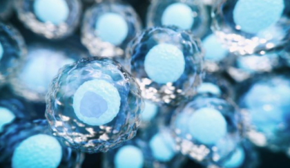 分子“噪音”的突破性发现可以增强干细胞疗法 中网时尚,stylechina.com