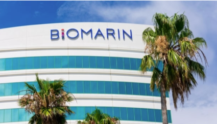 新的试验数据质疑 BioMarin 血友病 A 基因治疗的长期疗效 中网时尚,stylechina.com