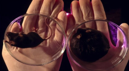 制药巨头联手开发潜在的基于基因的肥胖治疗 中网时尚,stylechina.com