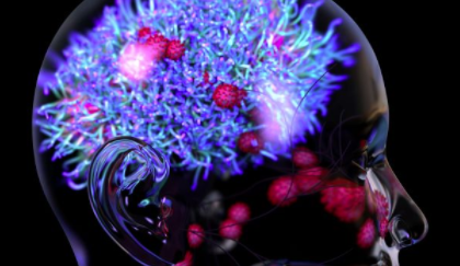 研究表明 COVID-19 受害者遭受一定程度的脑损伤 中网时尚,stylechina.com