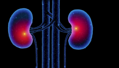 Alnylam 的肾脏治疗研究在 III 期试验中显示出有希望的结果 中网时尚,stylechina.com