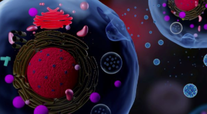 大流行突出了外泌体和相关细胞疗法的机遇、挑战 中网时尚,stylechina.com