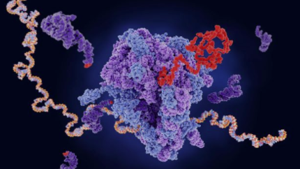 mRNA 超越 COVID-19 疫苗的治疗和诊断 中网时尚,stylechina.com