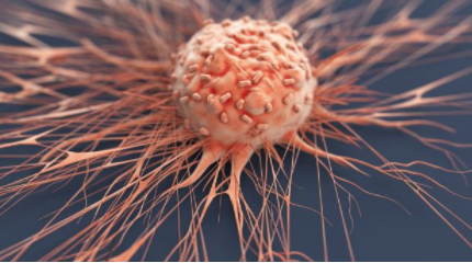 Tyra 致力于解决肿瘤患者的耐药性问题，目标是 1 亿美元的 IPO 中网时尚,stylechina.com