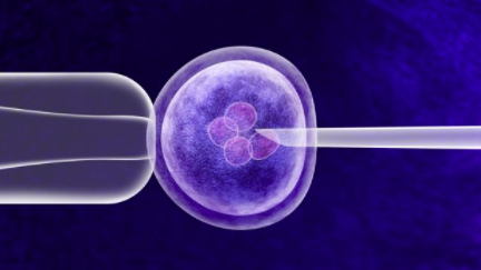 FDA 基因治疗风险峰会证明是及时的 中网时尚,stylechina.com