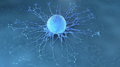 Diaccurate 将默克 PAM 抑制剂添加到肿瘤学/免疫学管道中 中网时尚,stylechina.com