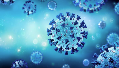 AVITA 的个性化疫苗试剂盒引发强大的免疫记忆反应 中网时尚,stylechina.com