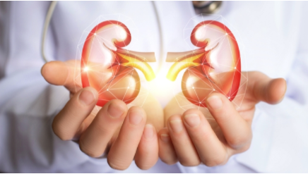 Vifor 为 Travere 复出获得罕见肾病药物许可 中网时尚,stylechina.com