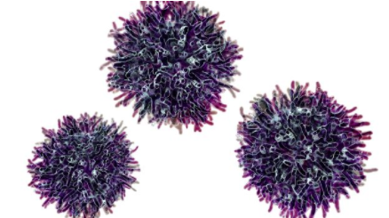 圣地亚哥生物技术公司斥资 6000 万美元揭露治疗耐药性癌症 中网时尚,stylechina.com