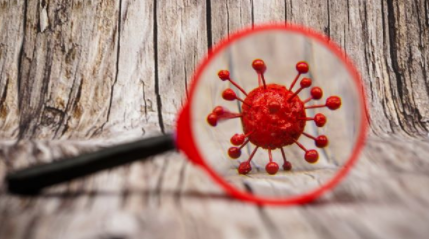 默克 (Merck) 的 COVID-19 药丸供专家组审查,因为科学家们表达了担忧 中网时尚,stylechina.com