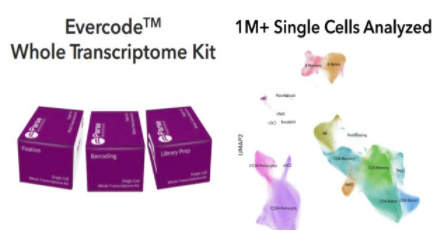 创新的新方法对 100 万个单细胞进行并行排序 中网时尚,stylechina.com