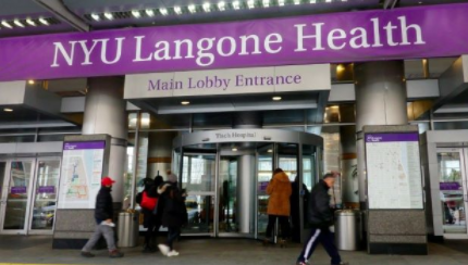 在重大里程碑中，猪肾在人体内发挥作用 中网时尚,stylechina.com