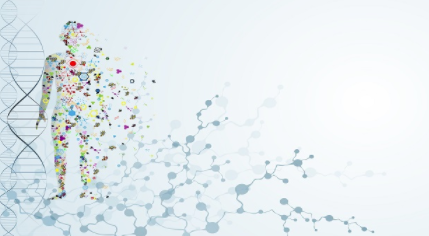 肿瘤学测试实验室启动治疗管道 中网时尚,stylechina.com